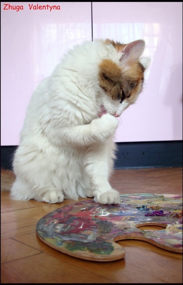 Фотовиставка Валентини Жуги